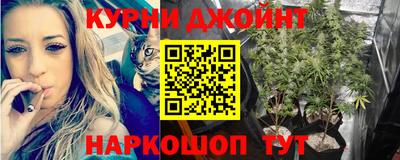 spice Балаково