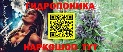 индика Балашиха
