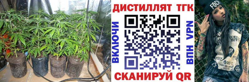 как найти закладки  мориарти состав  ТГК Wax  Торжок  OMG  