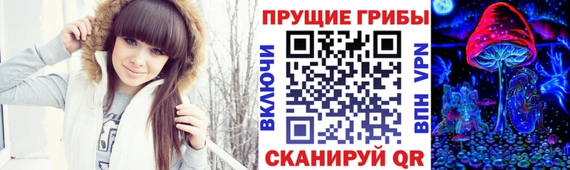 Псилоцибиновые грибы Cubensis  Торжок 