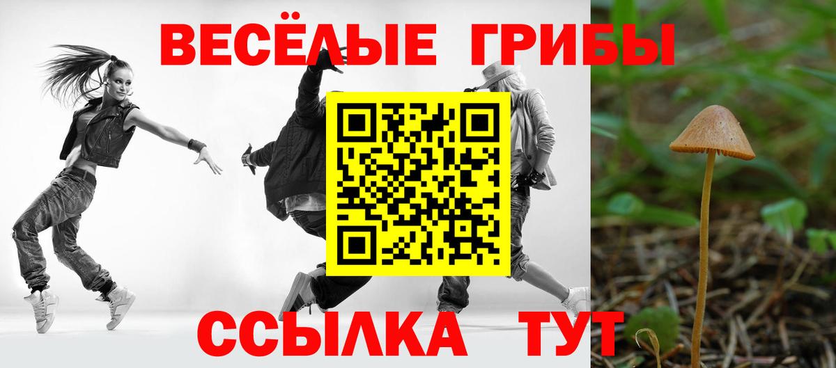 Торжок  наркошоп  Псилоцибиновые грибы Magic Shrooms  Вход с VPN  Галлюциногенные грибы ЛСД 