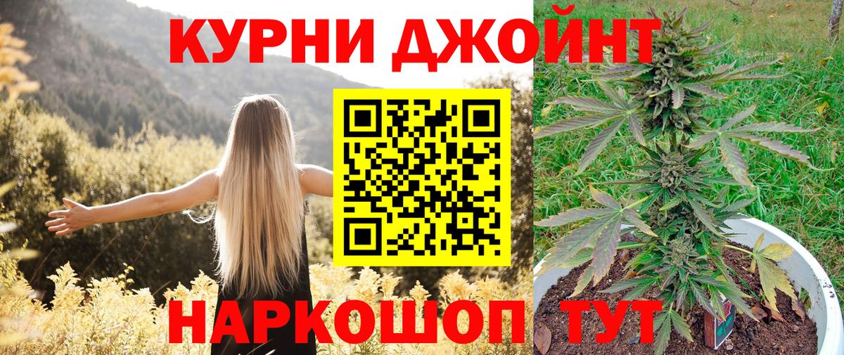 Бошки Шишки MAZAR Торжок